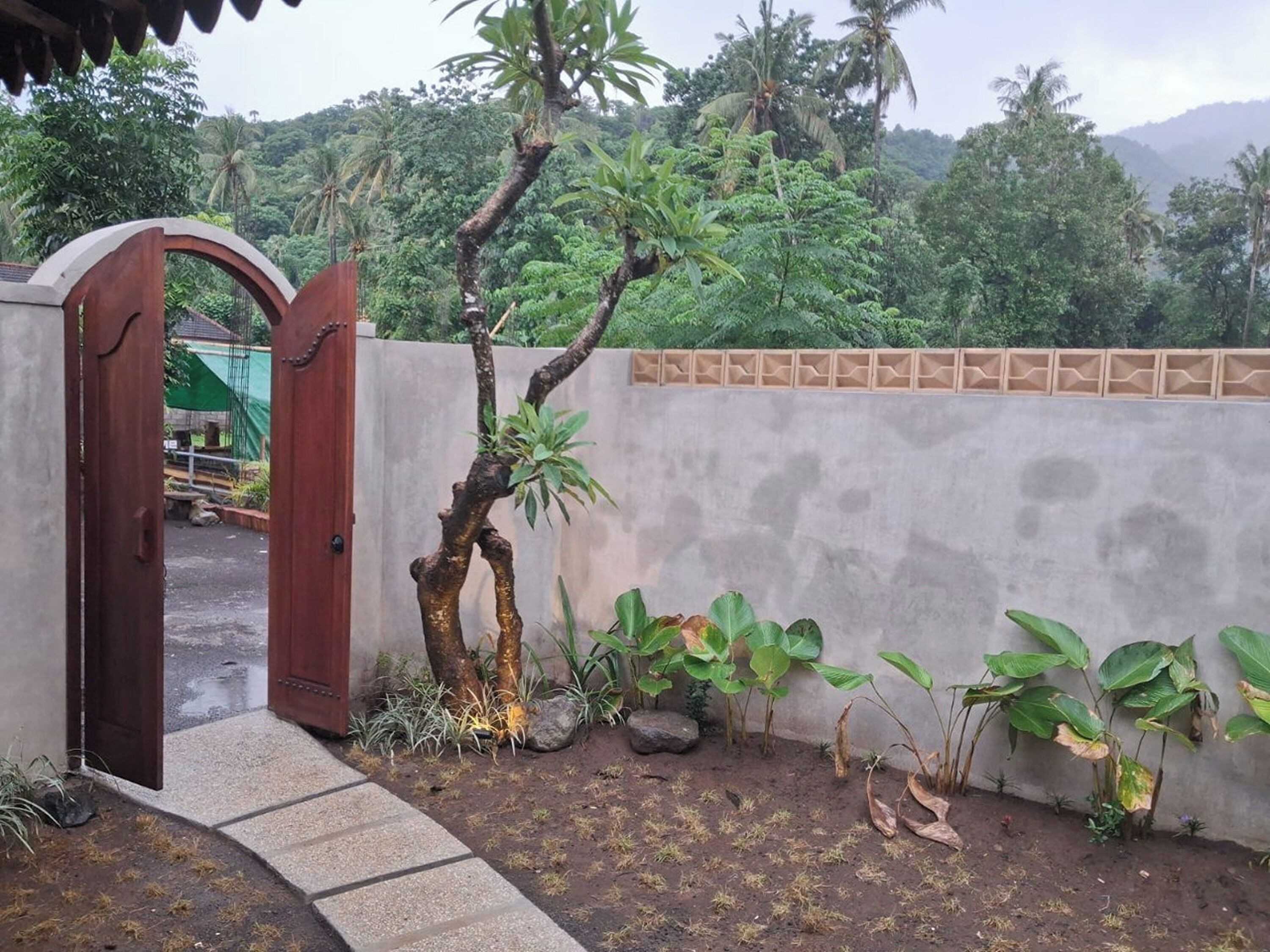 A gated entrance with a concrete wall and a small garden area with plants and a tree.