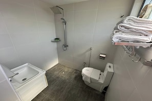 Family Room | Bathroom | Shower, rainfall showerhead, free toiletries, towels