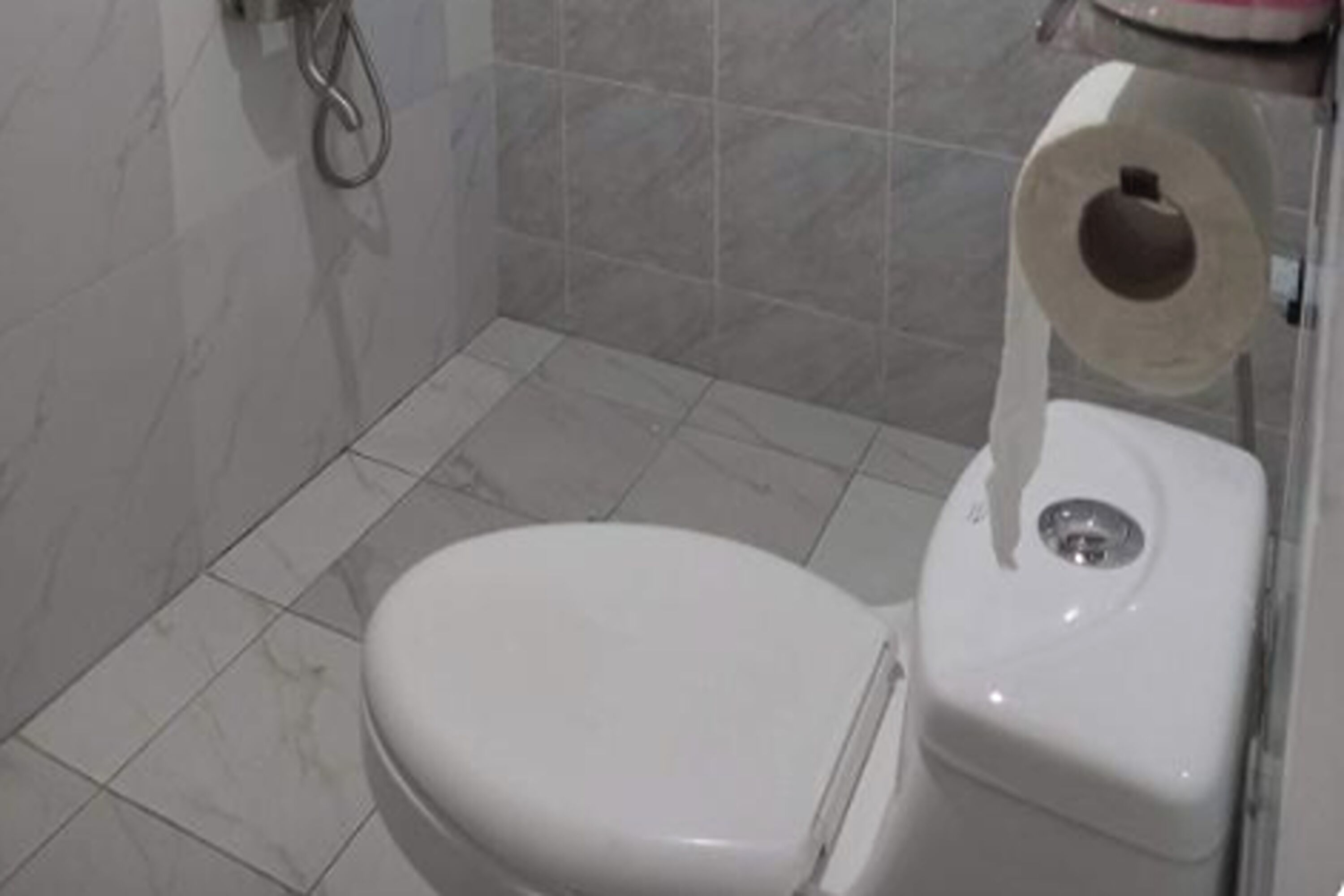 Un baño con inodoro blanco, un rollo de papel higiénico en la pared y una zona de ducha con puerta de vidrio.