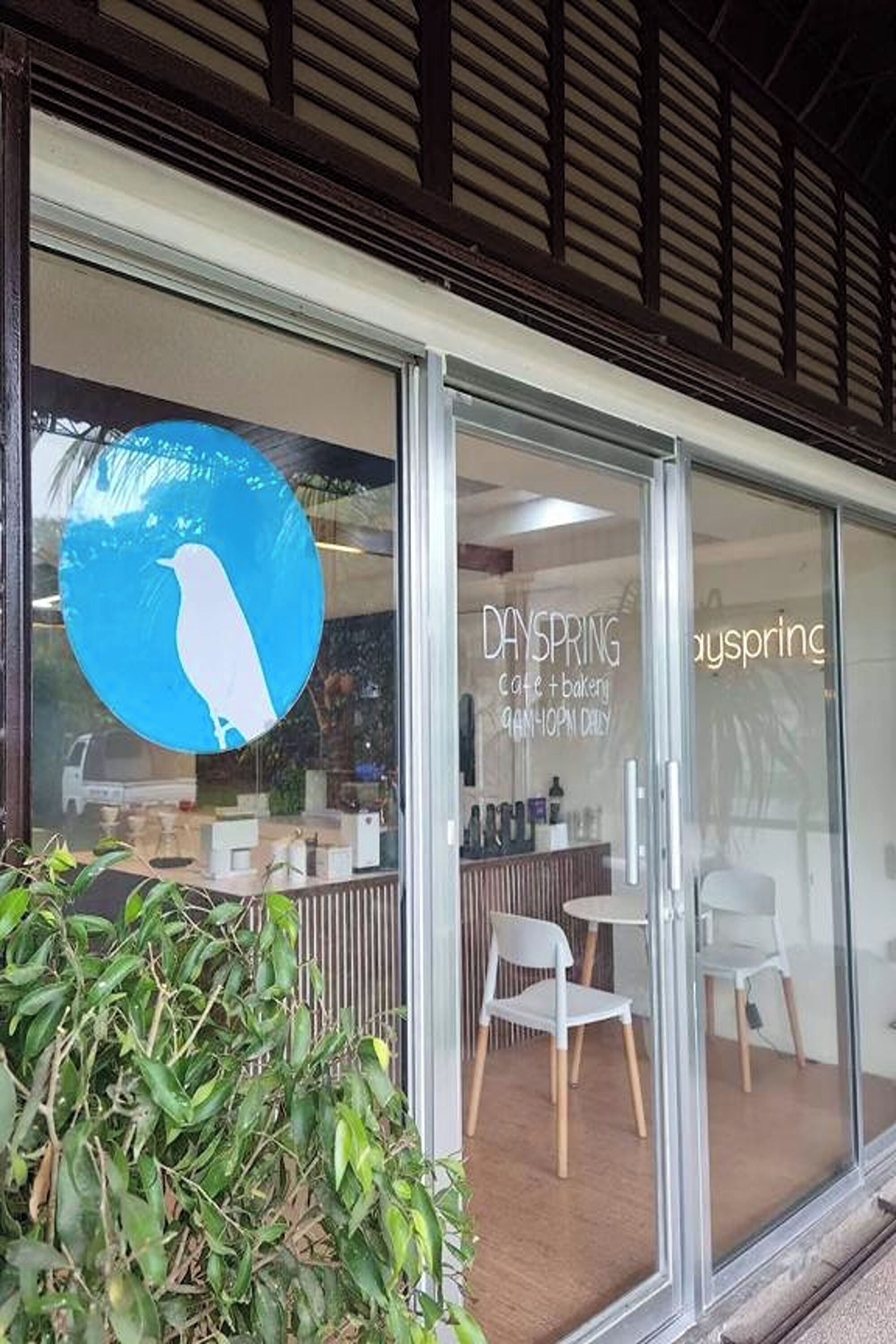 A cafe with a glass front, a logo of a bird, and the name 'Dayspring Cafe & Bakery'.