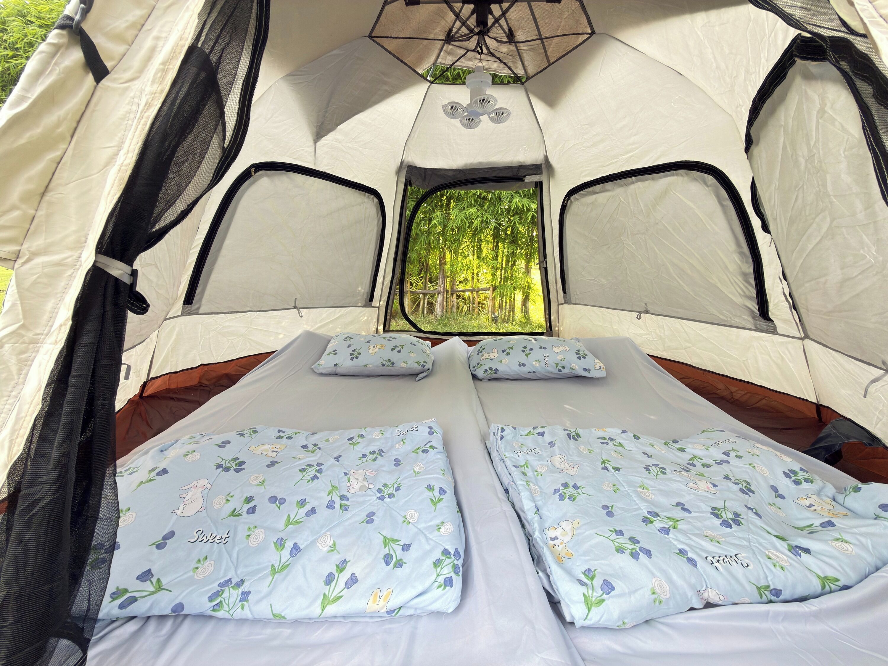 Tent | View from room