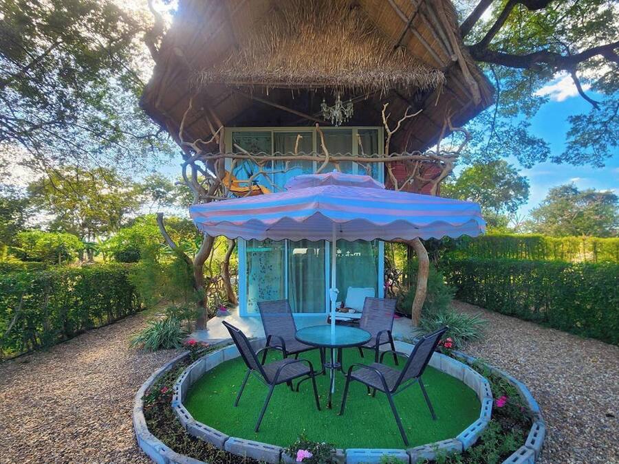 Casa na árvore | Terraço/pátio
