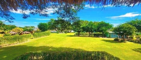 Tree House | Terrace/patio