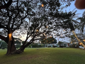 واجهة المنشأة