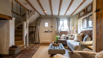 TV, fireplace, books