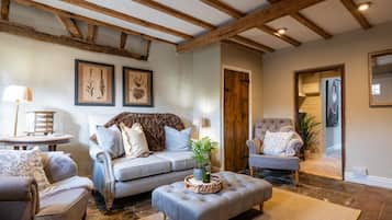 TV, fireplace, books
