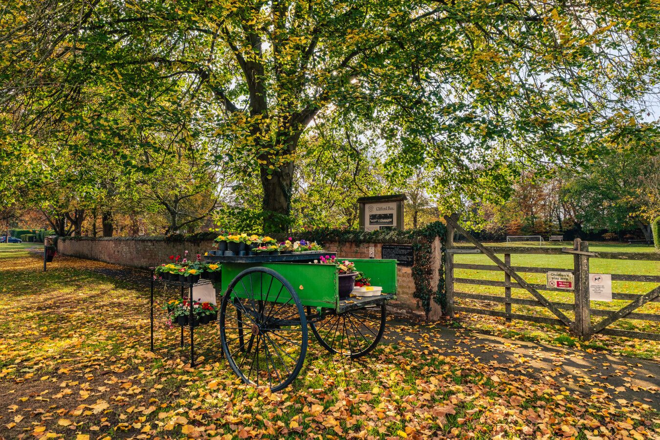 A green cart with flowers parked under a tree in a park.