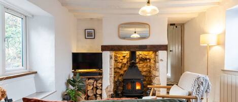 Télévision, cheminée, livres