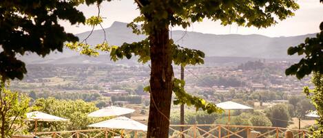 Restauration en plein air