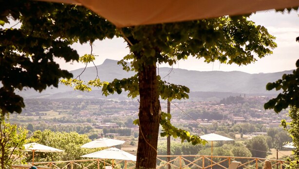 Un patio con mesa y sillas, rodeado de plantas en macetas, con vista a una piscina y un paisaje pintoresco de un valle.