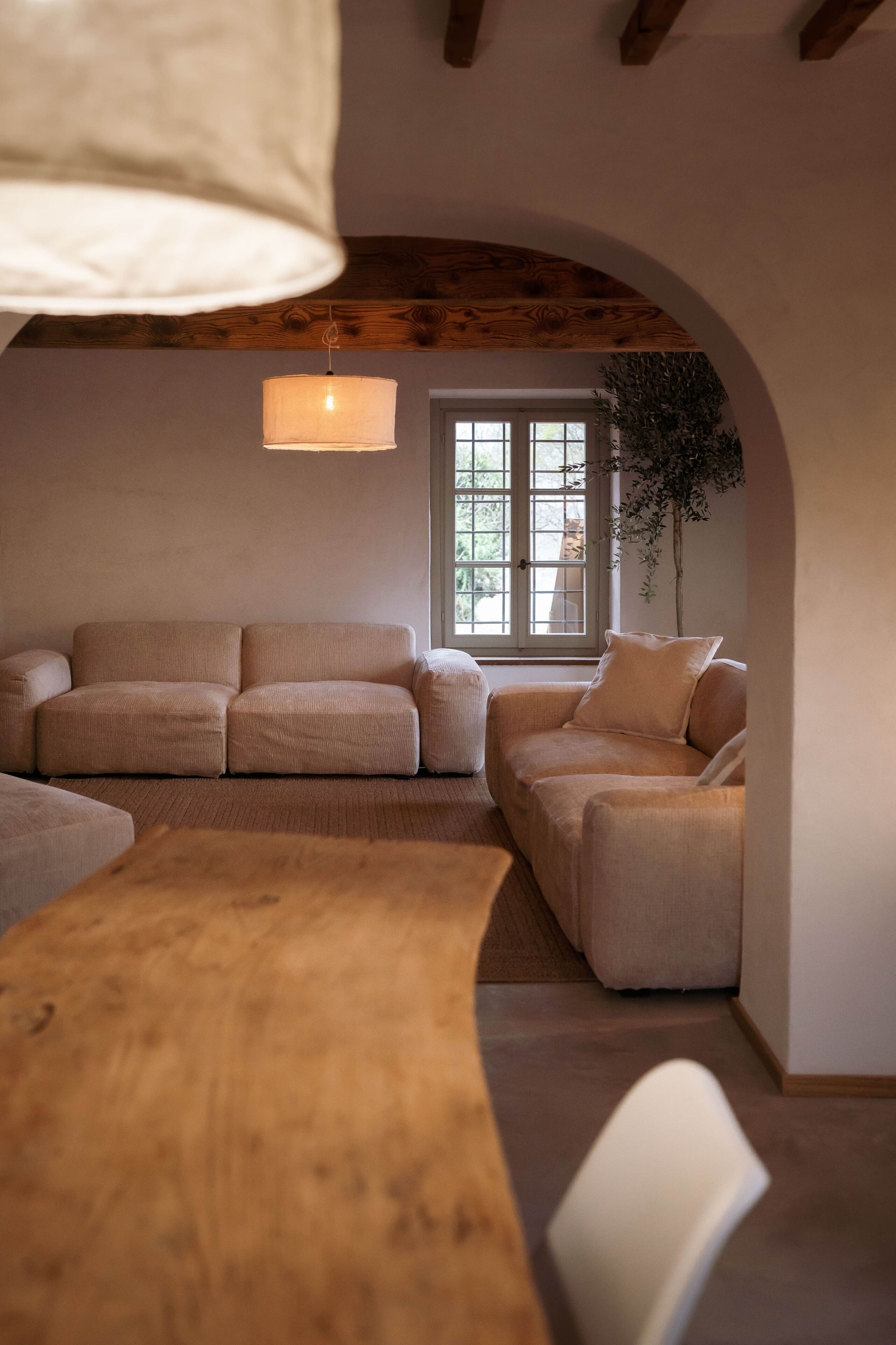 Smart TV, caminetto, tavolo da ping pong