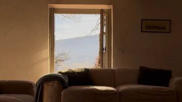 Smart-TV, Kamin