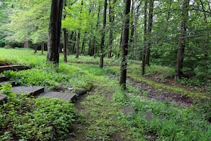 Property grounds - Large home with hot tub in serene wooded setting (Erie)