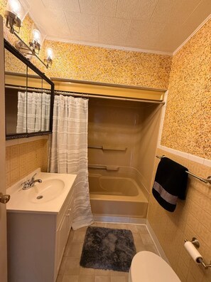 Bathroom - Welcoming to Cozy Altoona a 2-bedroom house with AC in charming Altoona (Altoona)