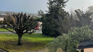 A residential area with a tree, a grassy lawn, and a paved road. - Bed and Breakfast 'Chambre Mansardée' with Shared Terrace, Shared Garden and Wi-Fi (VERRIERES)