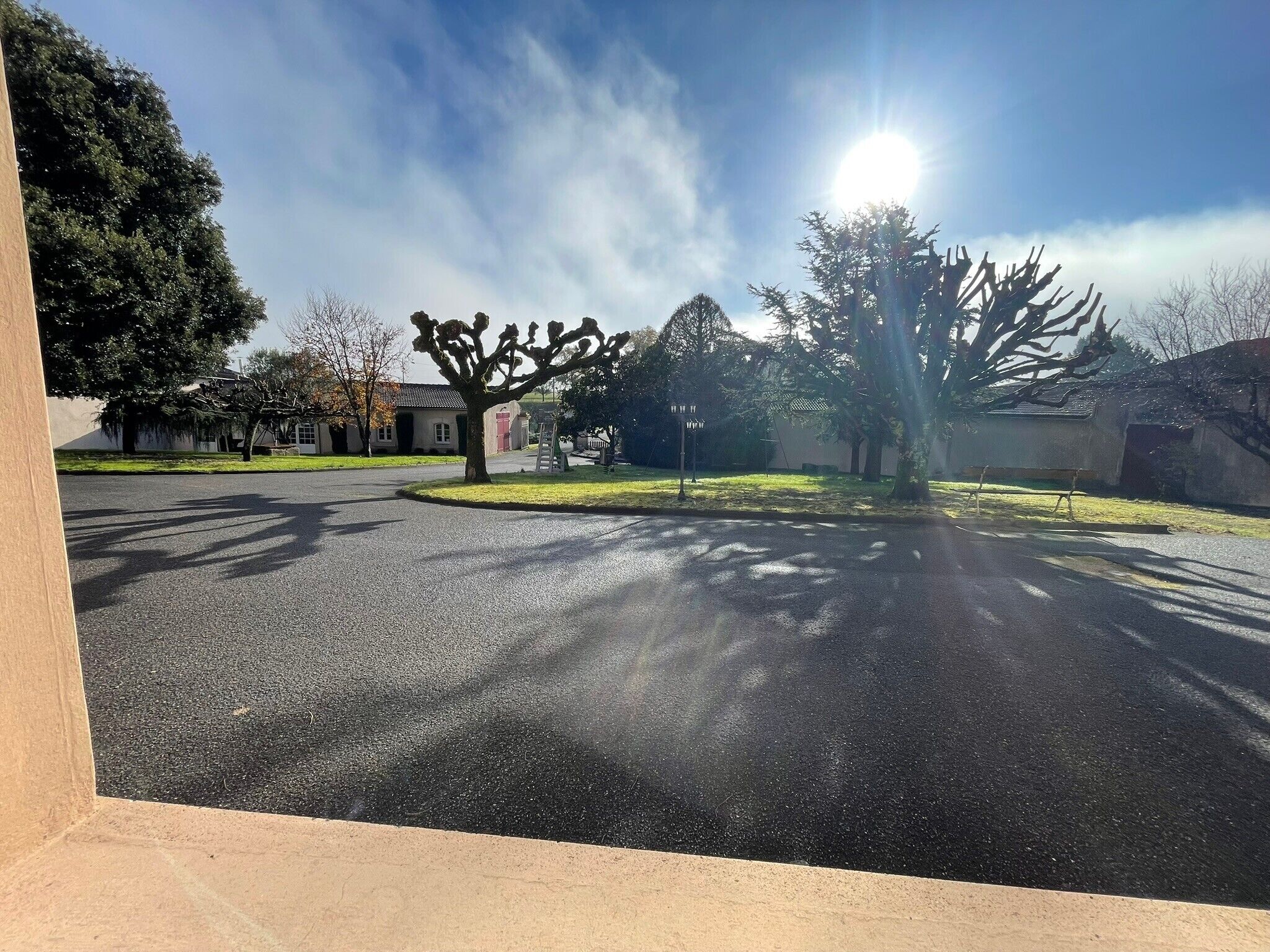 A residential street with houses, a tree-lined driveway, and a clear sky.