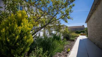 Área da propriedade