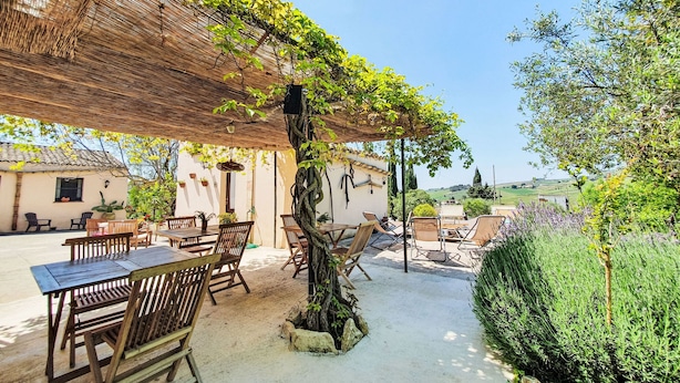 En udendørs terrasse med borde og stole, en pergola med slyngplanter og udsigt til landskabet.