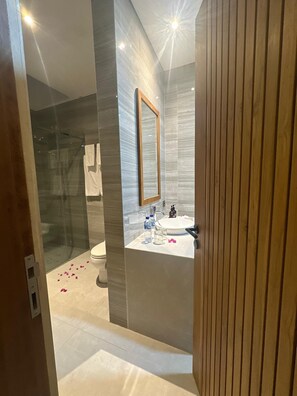 Deluxe-Villa, 2 Schlafzimmer, eigener Pool | Badezimmer | Dusche, kostenlose Toilettenartikel, Haartrockner, Handtücher