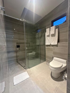 华丽别墅, 2 间卧室, 私人游泳池 | 浴室 | 淋浴设施、免费洗浴用品、吹风机、毛巾