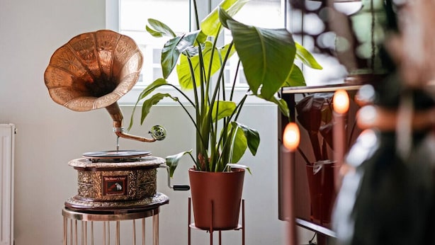 Een grammofoon op een decoratieve standaard, een potplant en een moderne lamp in een kamer met een raam en een radiator.
