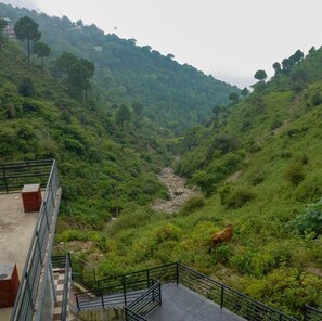Exterior - Misty Winds Kasauli (Kasauli)