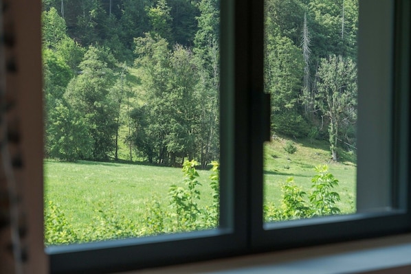 A window with a view of a forested area and a grassy field.