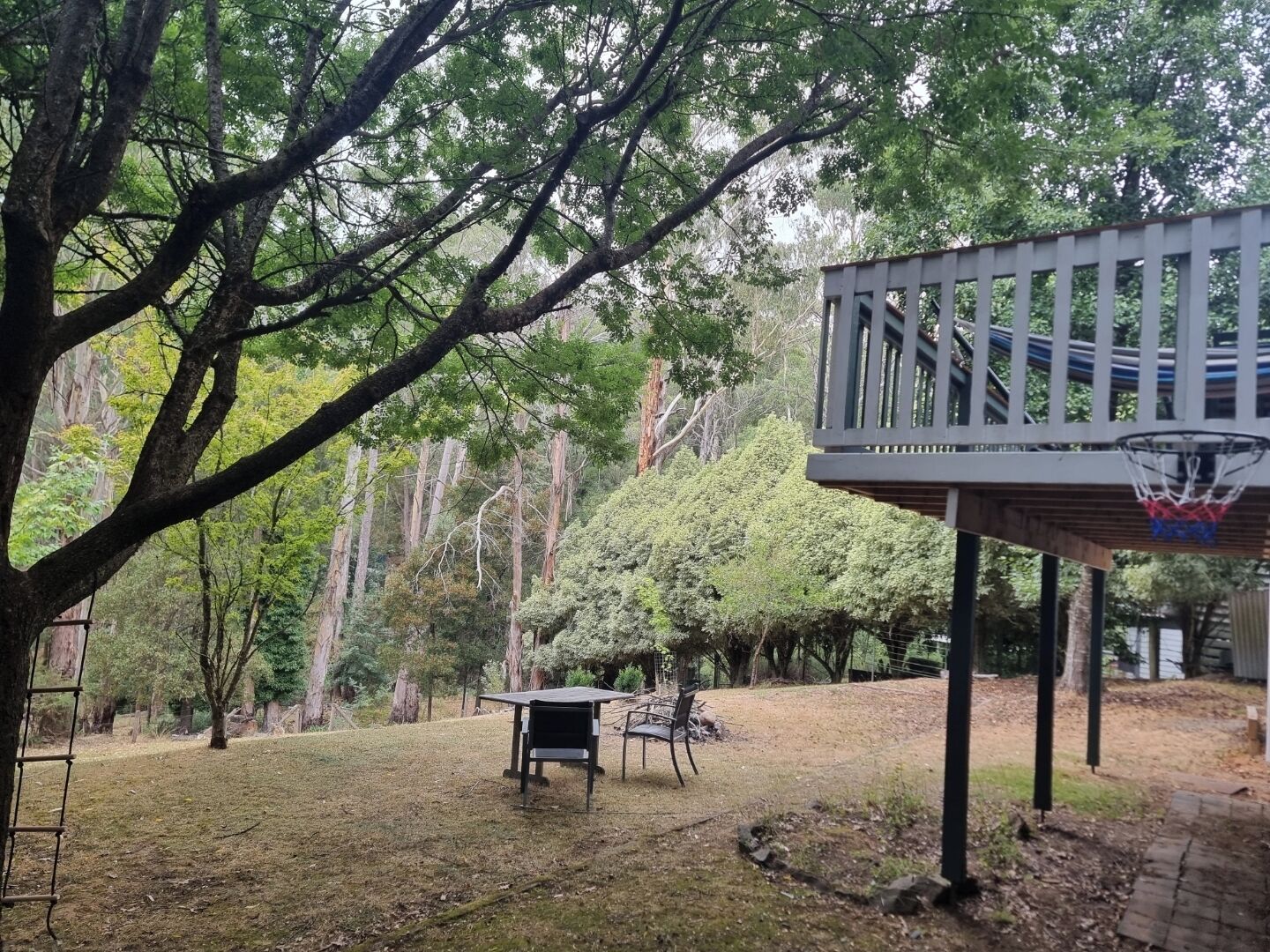 Un jardin avec un panier de basket, une table et des chaises.