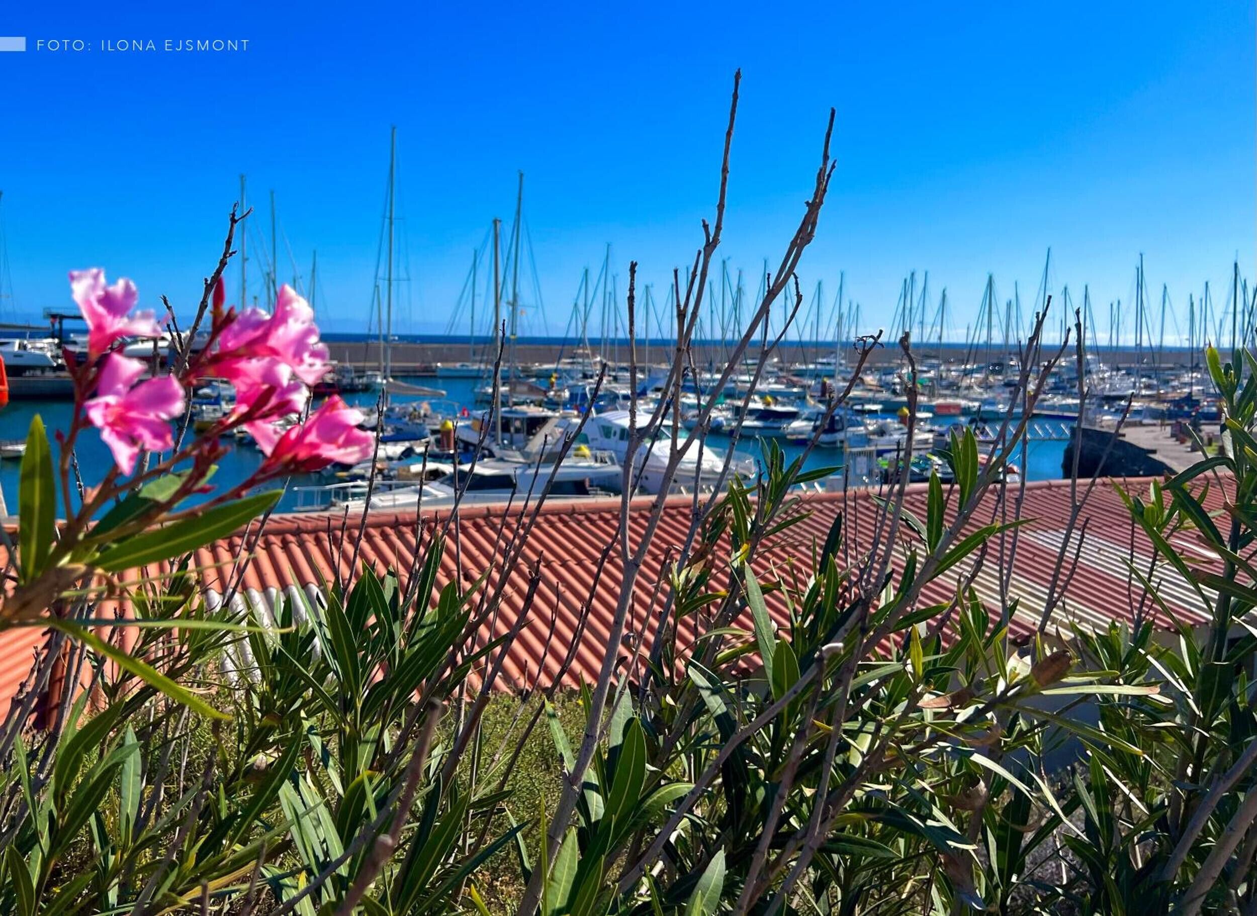 Port de plaisance