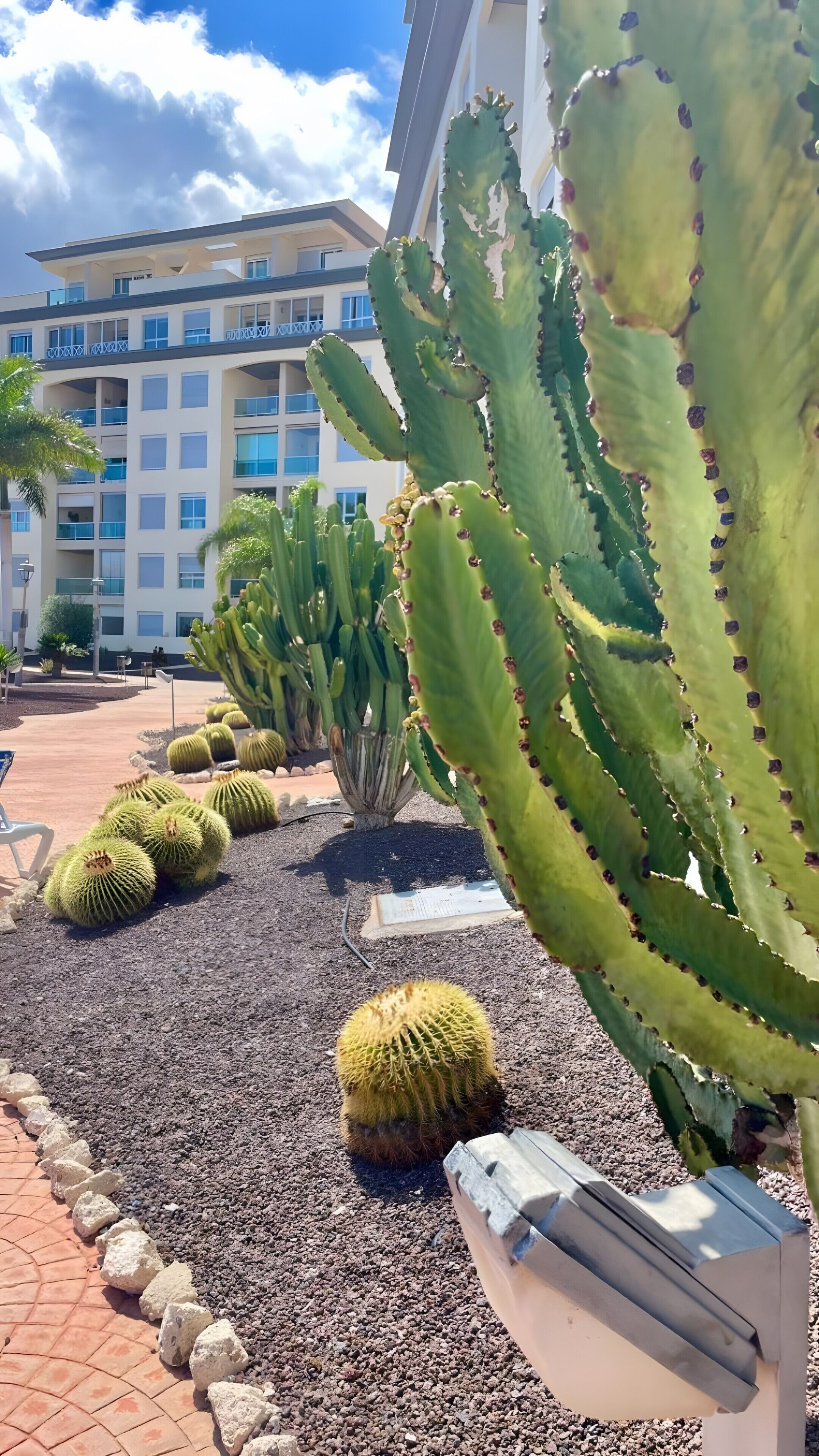 Terrein van de accommodatie