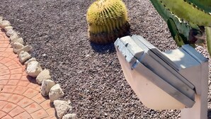 Una fila di cactus e un edificio sullo sfondo con balconi.