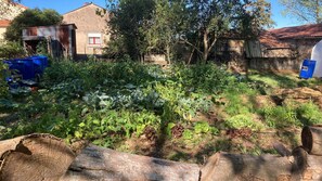 Área da propriedade