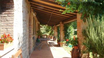 Une terrasse extérieure avec un mur en briques, une pergola en bois et des plantes en pot.
