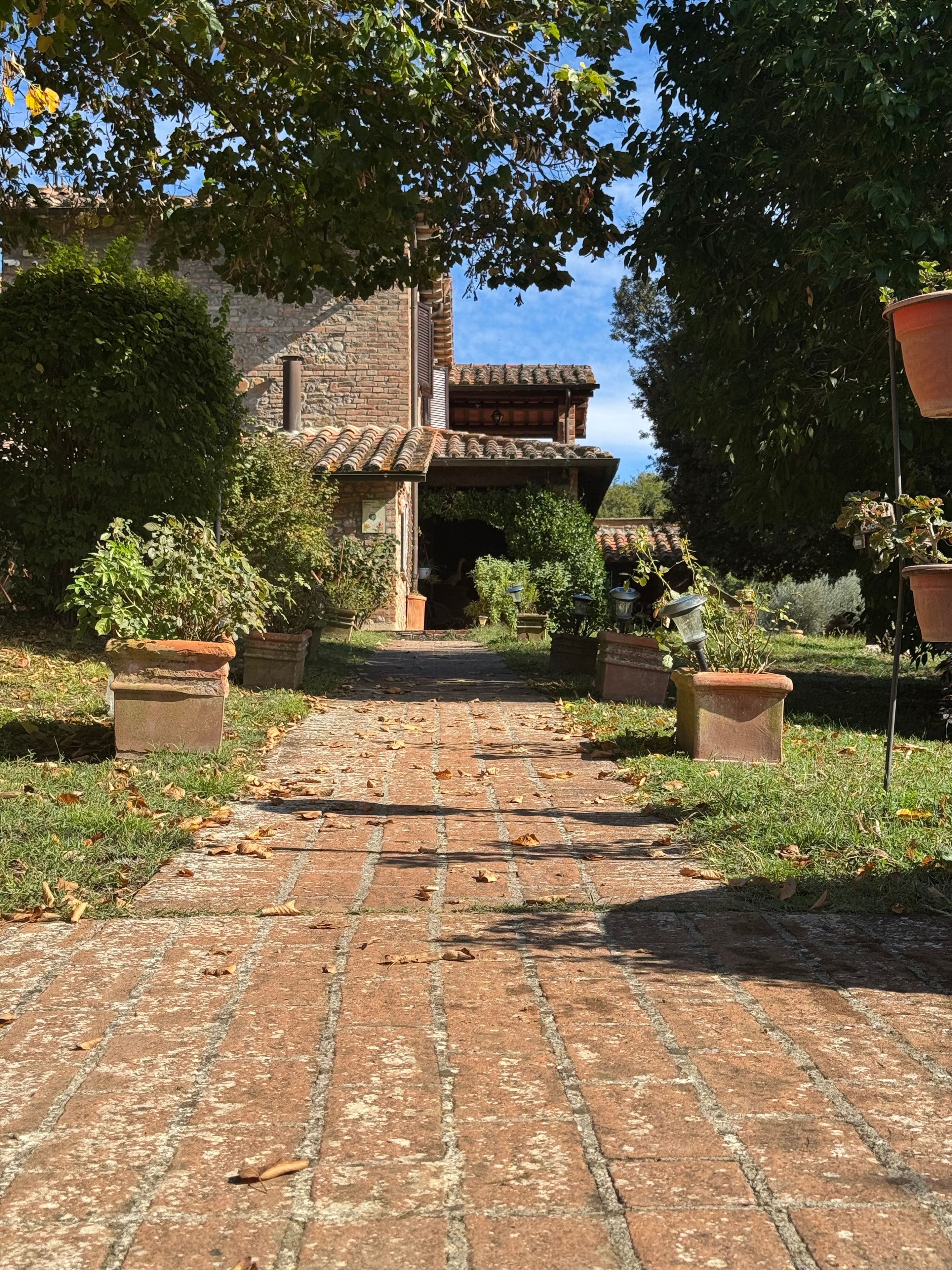 A brick pathway leading to a rustic building with a tiled roof, surrounded by greenery and potted plants.