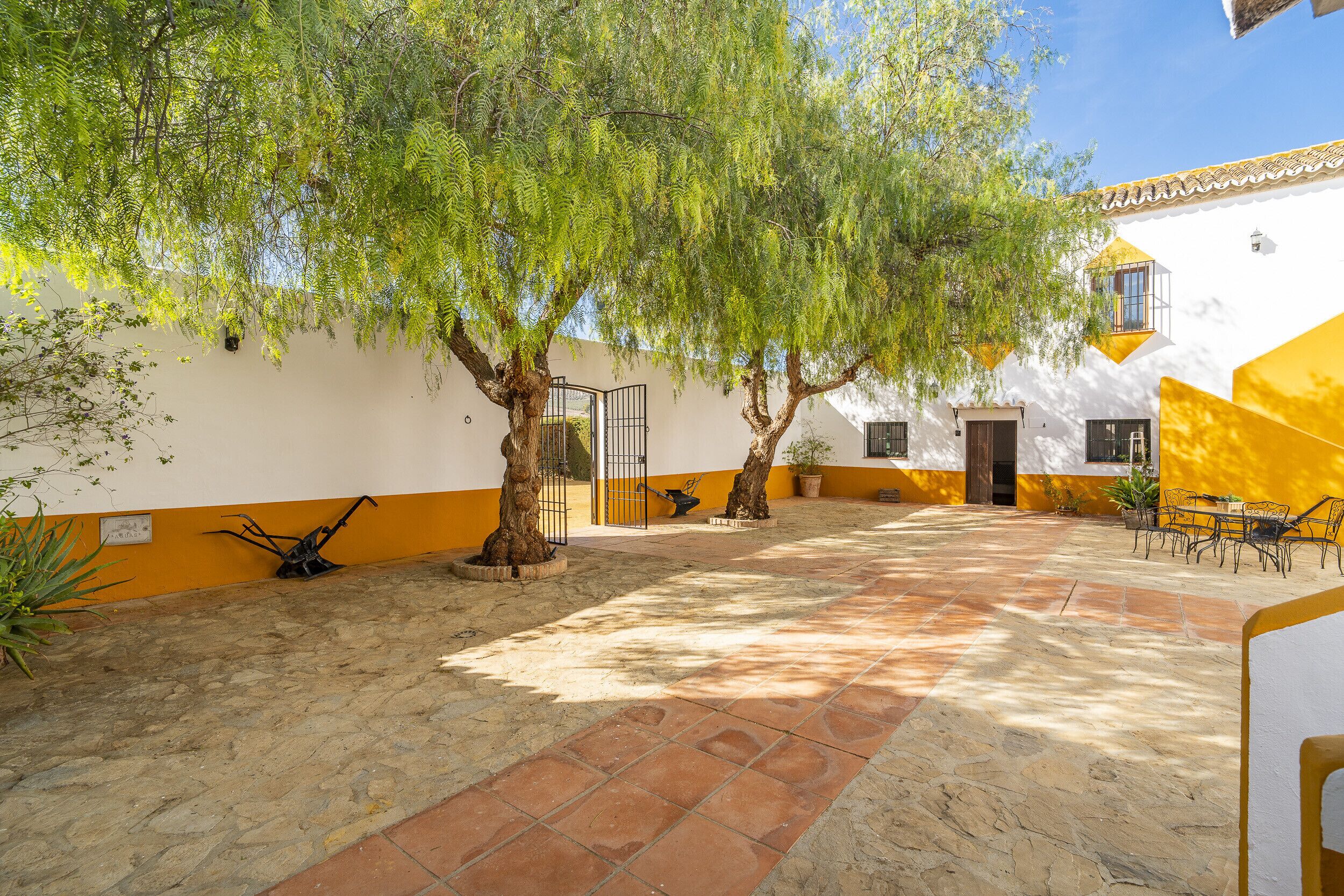 A courtyard with a tiled floor, a white building with yellow accents, and a tree providing shade.