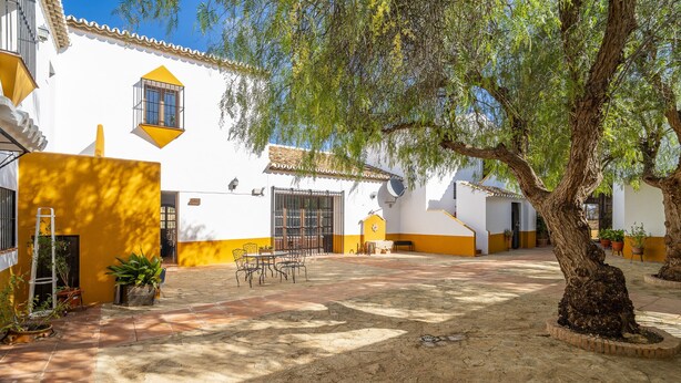 A courtyard with a dining area, a tree, and a building with yellow and white walls. - Cubo's Casa Rural San Cristobal Cortijo el Puntal / rural / communal pool / large outdoor areas / views / free wifi (Teba)