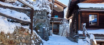 Cozy chalet, Alps view, fireplace & large terrace