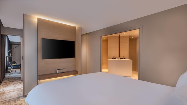 Suite - CDG Airport Terminal Hotel, Paris (Tremblay-en-France)