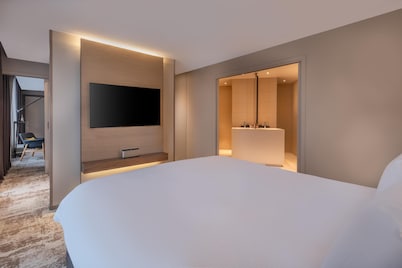 CDG Airport Terminal Hotel, Paris