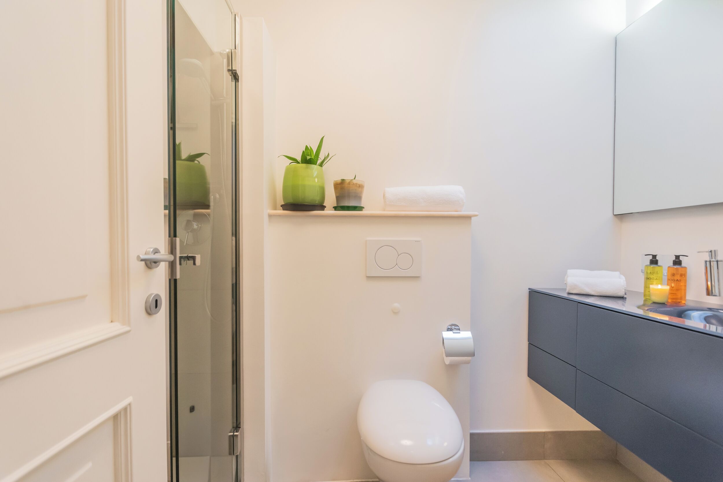A modern bathroom with a toilet, a shelf with plants, a towel, and toiletries.