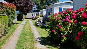Un sendero que lleva a casas móviles, con un jardín a la derecha.