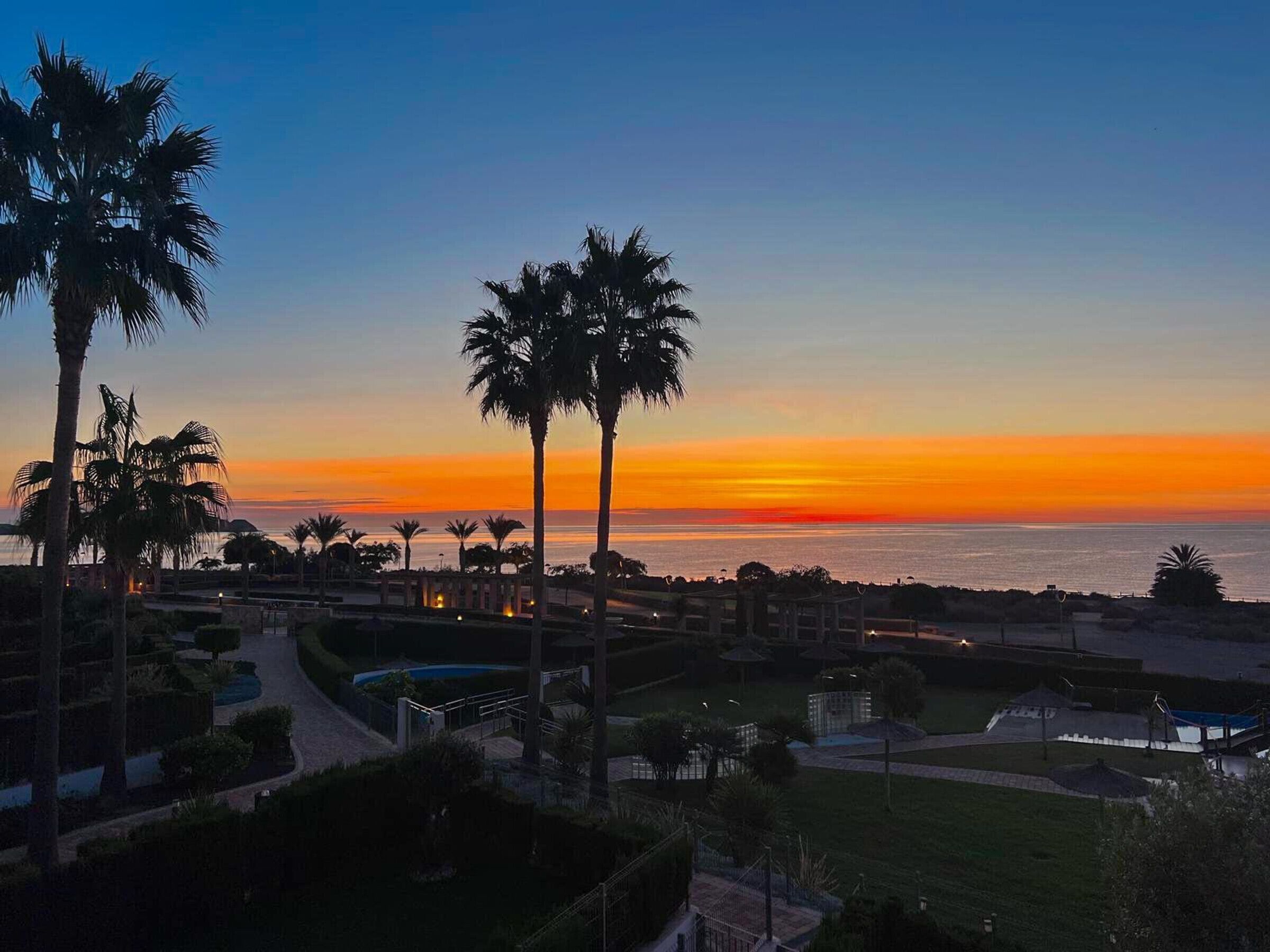 A sunset view with palm trees and a pool.