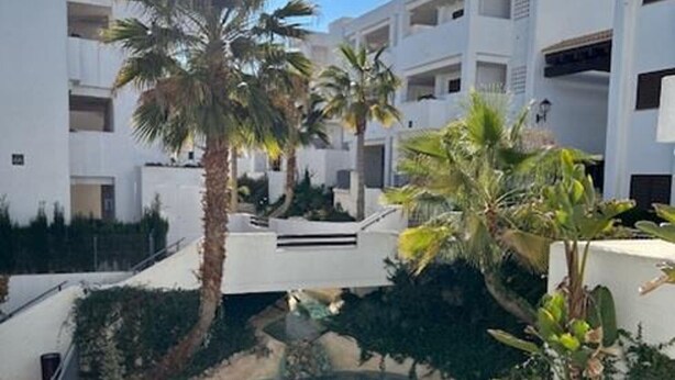 Una piscina rodeada de palmeras y un edificio blanco con balcones.