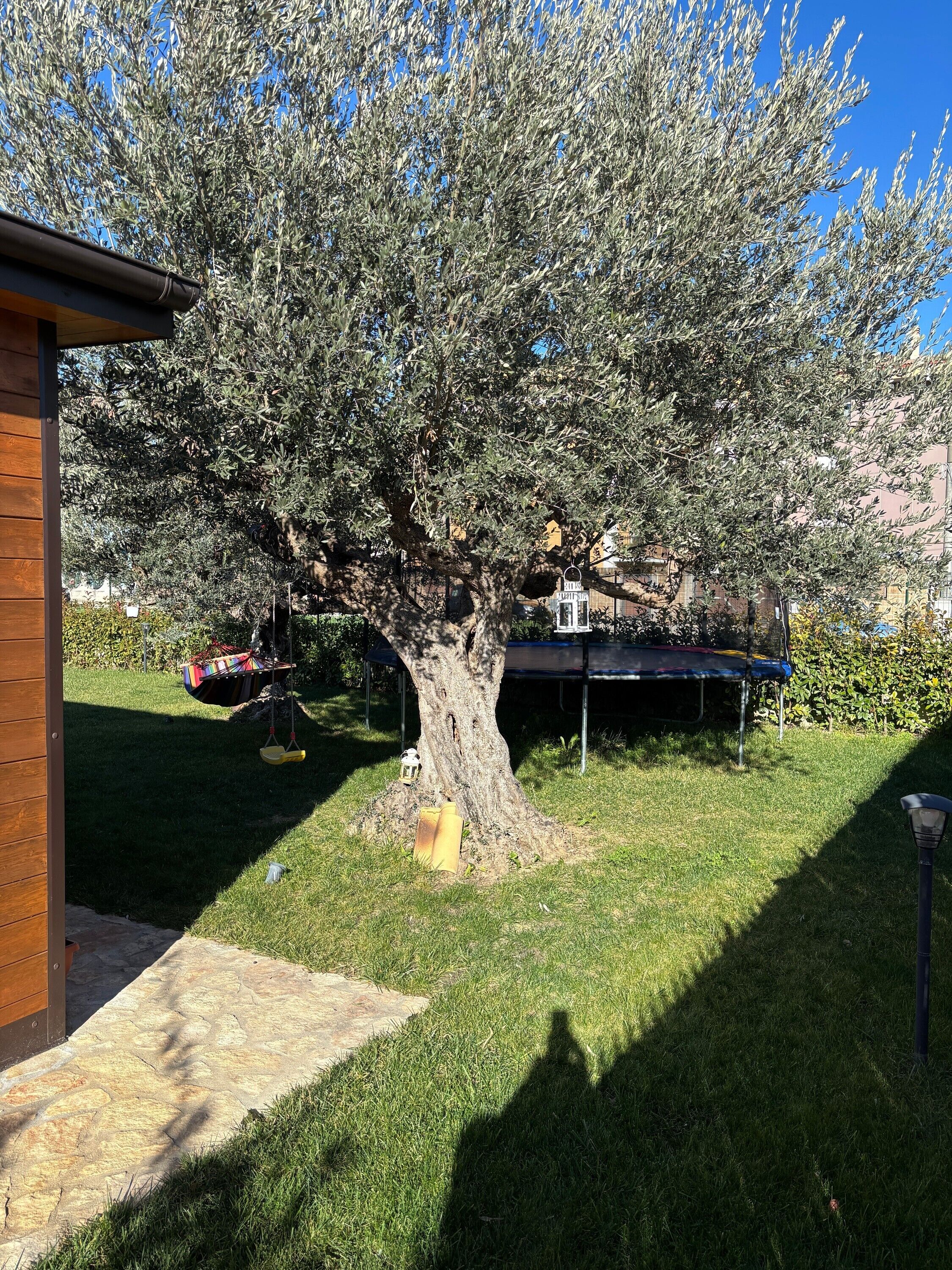 Parco della struttura