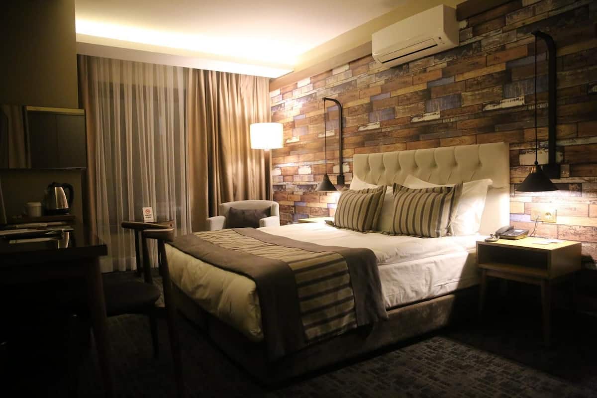 Minibar, escritorio, espacio para trabajar con laptop y wifi gratis 