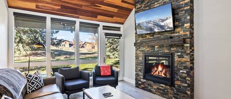 TV connectée, cheminée, espaces bureaux