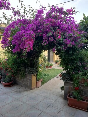 Parco della struttura