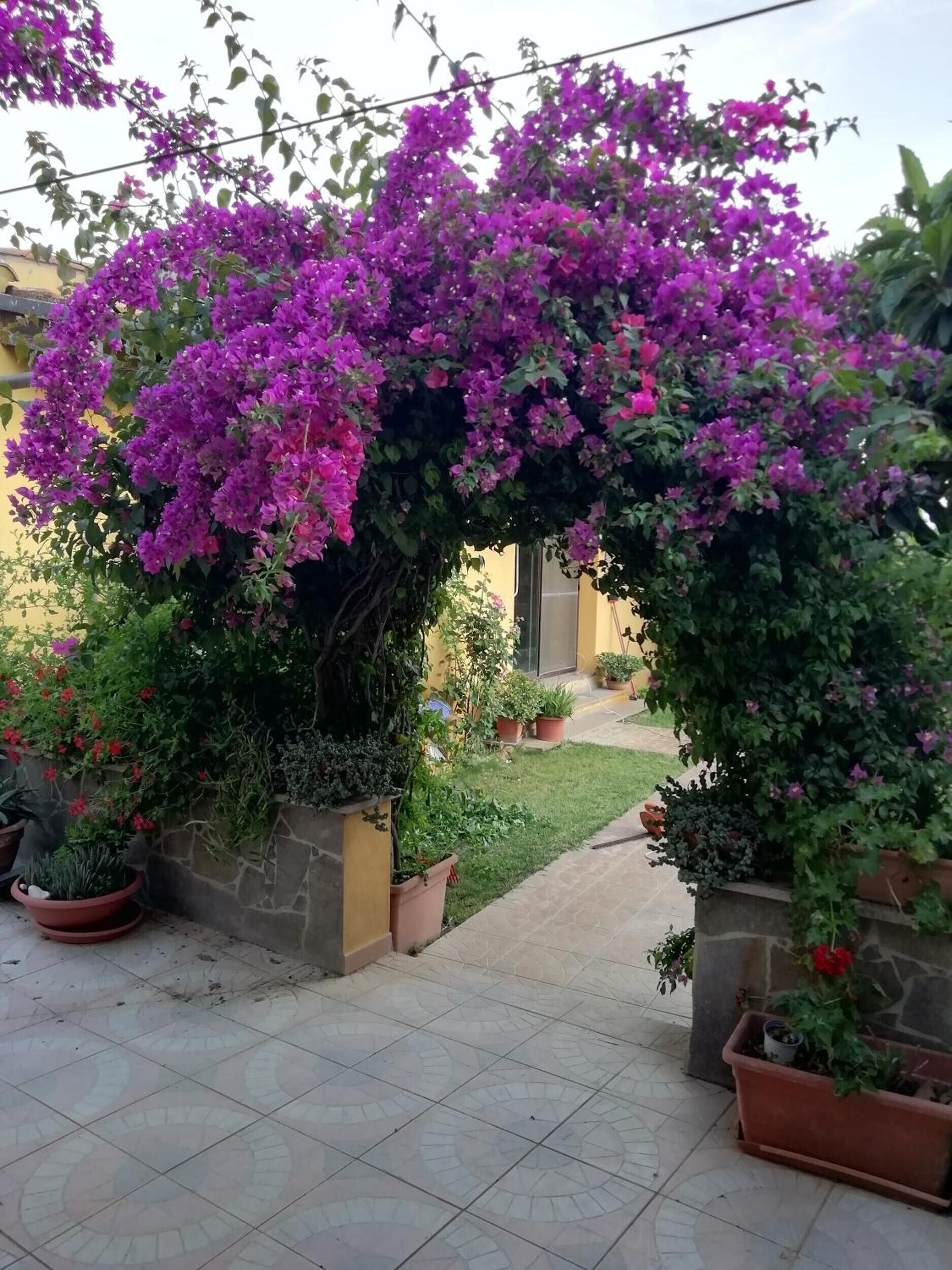 Enceinte de l’hébergement