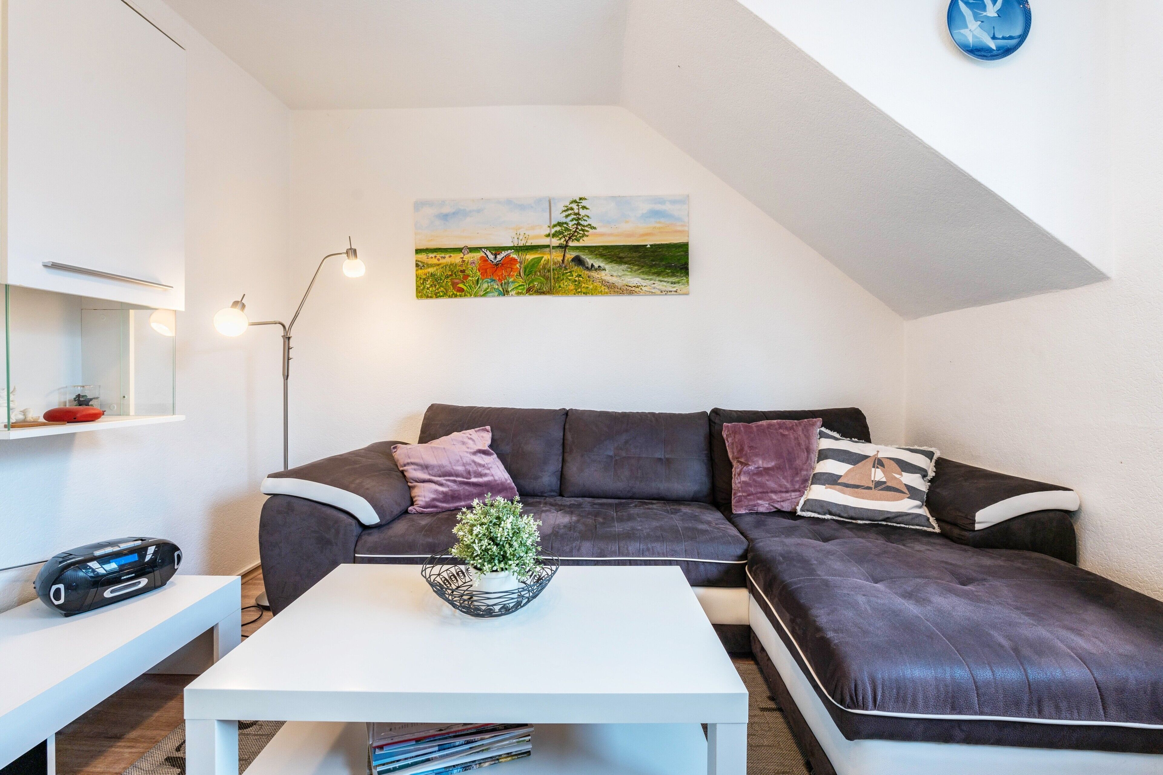 Fernseher, DVD-Player