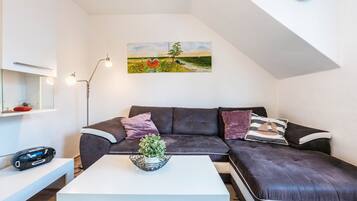 Fernseher, DVD-Player